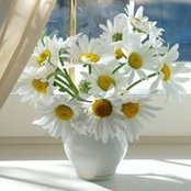 Эльмира Маннанова's photo
