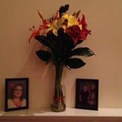 Debra Gates Beatty's photo