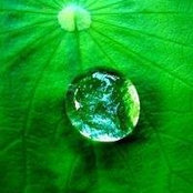 Do Giang's photo