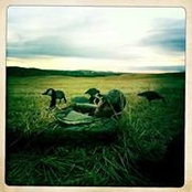 William Goliwas's photo