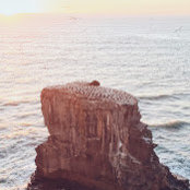 Sam Olivarri's photo