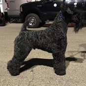 Monica Doyle-Adair's photo