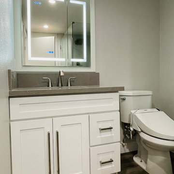 Modern Style Major Home Renovation