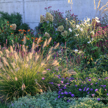 Un giardino collinare in stile Dutch Wave