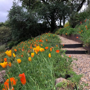 Sonoma County Garden