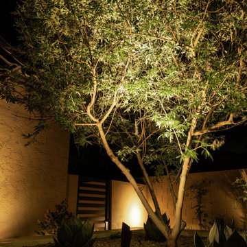 Modern Outdoor Living Design with  Pool & Fire Pit in Phoenix