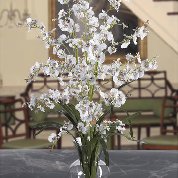 Dancing Lady Orchid, Staircase Entryway