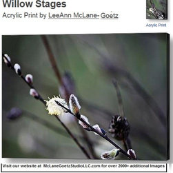 Acrylic Prints - Artwork