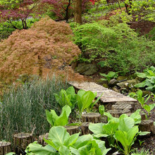 Japanese gardens