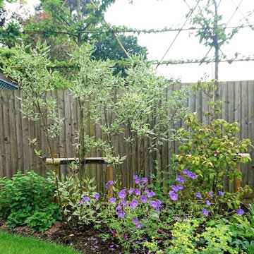 Small Town Garden, Marlborough