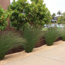 plantings