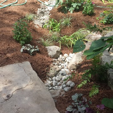 Pet-Char Stormwater Solution