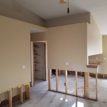 Kitchen Remodel