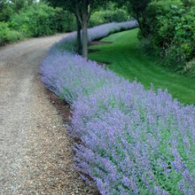BA Landscapes