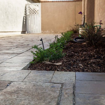 Drought Tolerant Sideyard in Tustin California