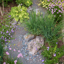 Dry streambeds