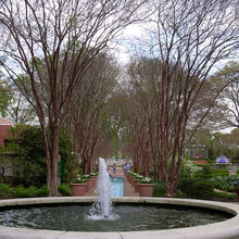 Mom's Garden