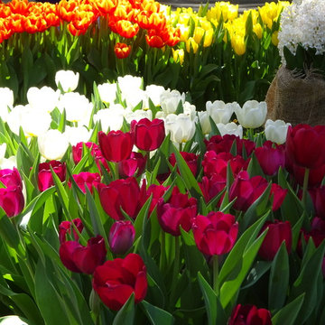 Melbourne International Flower & Garden Show 2016