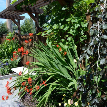 Raised Vegetable Bed / Ornamental Garden 2016