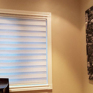 Zebra Blinds