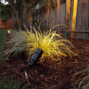 Low Voltage Lighting