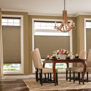 Blinds & Shades