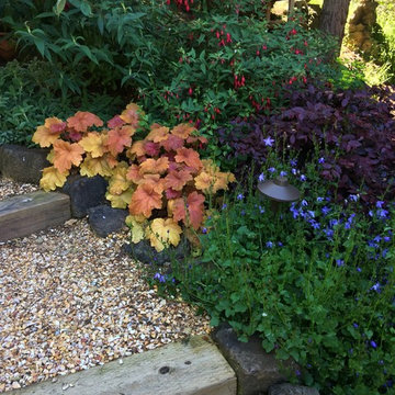 A Hillside of Vibrant Color