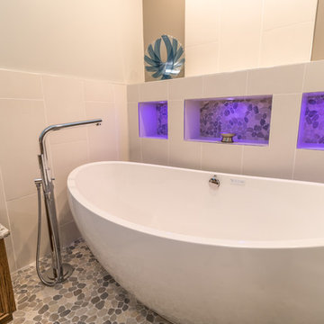 Project 2025-3 Golden Valley Transitional Master Bathroom Remodel with Spa Feel