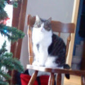 Mary Dowd's photo