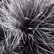 David Alsmeyer's photo