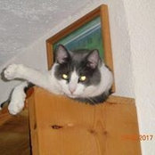 Foto von Debra Gebhardt