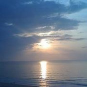 Foto von Lisa Hunt