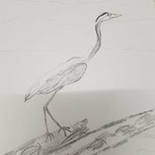 Jamie White's photo