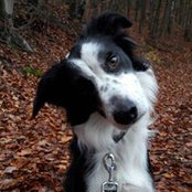 Foto von Anke Schubart