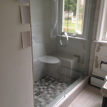 Pivot Door and Fixed Inline Panel