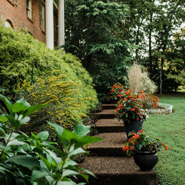 Vibrant Plantings and Woodland Paths