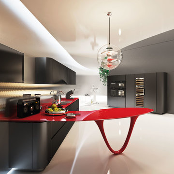 Snaidero USA Kitchen & Living