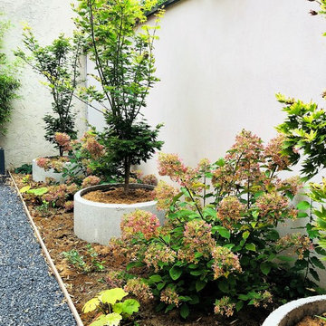 Jardin d'expression : l'aménagement original d'un patio