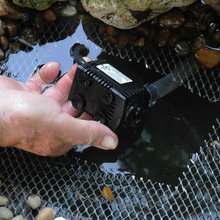 water bubbler for birds