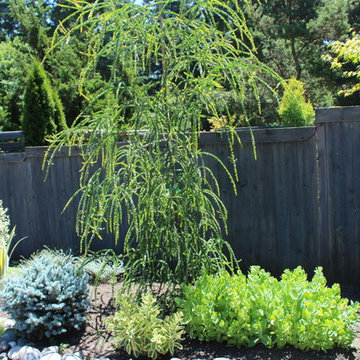 Marian's minimal maintenance - front garden