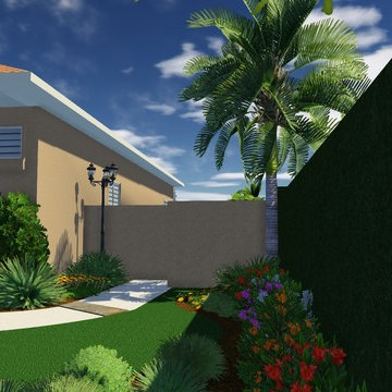 Tropical Front Yard