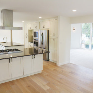 Bellevue Full Home Renovation by Levite Construction Co.