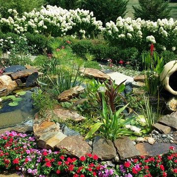 Pond with Bio filtration