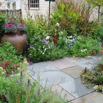 Medicinal Herb Garden