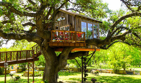 7 Tips for Designing a Backyard Treehouse Like a Pro