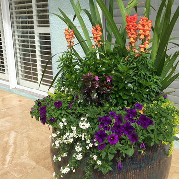 These containers are made in Vietnam, are very high quality. This is the initial