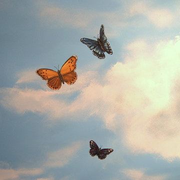 Sky Ceiling Mural with Butterflies, hand-painted in a bedroom by Mural Art LLC.