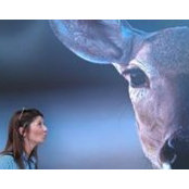 Maja Pelko's photo