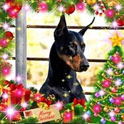 MaryAnn Byrns's photo