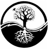 Marius Cristea's photo